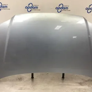 Authentiek Motorkap VW TOURAN (1T1, 1T2), VW TOURAN (1T3), VW TOURAN VAN (1T1, 1T2)