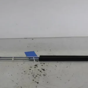 Populair Gasveer kofferruimte RENAULT LAGUNA II (BG0/1_)