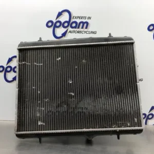 Radiateur CITROËN C3 II (SC_), CITROËN DS3 Ambachtelijk