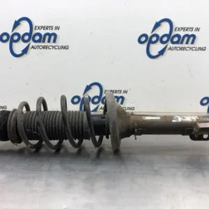 Veerpoot VW GOLF IV (1J1) Professioneel