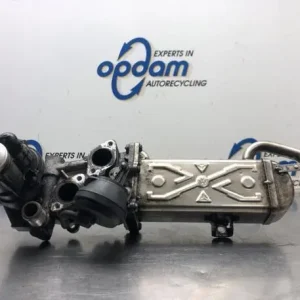 Authentiek Uitlaatgasregelingsklep VW CADDY III Box Body/MPV (2KA, 2KH, 2CA, 2CH)