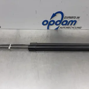 Garantie Inbegrepen Gasveer kofferruimte RENAULT MODUS / GRAND MODUS (F/JP0_)