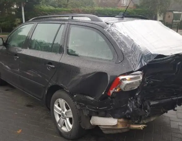 Express Levering Astap SKODA OCTAVIA II Combi (1Z5)