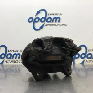 Direct Verzonden Remklauw RENAULT TWINGO III (BCM_, BCA_)