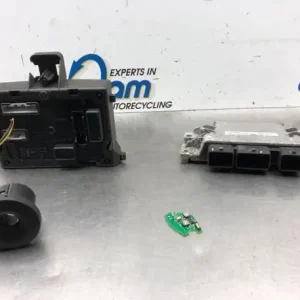 Direct Beschikbaar Regeleenheid motoregeling RENAULT CLIO III (BR0/1, CR0/1)