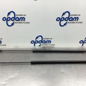 Gasveer kofferruimte RENAULT KANGOO / GRAND KANGOO (KW0/1_) Professioneel