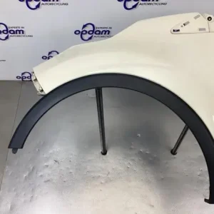 Spatbord RENAULT CAPTUR I (J5_, H5_), RENAULT CLIO IV (BH_) Lage Prijs