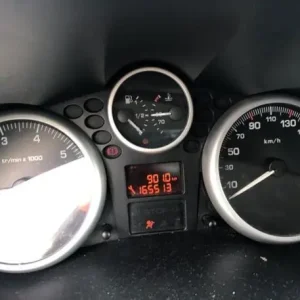 Toerenteller PEUGEOT 206+ (2L_, 2M_) Garantie Inbegrepen