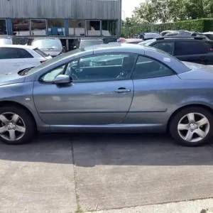 Voordeelprijs Raambedieningsmechanisme PEUGEOT 307 CC (3B)