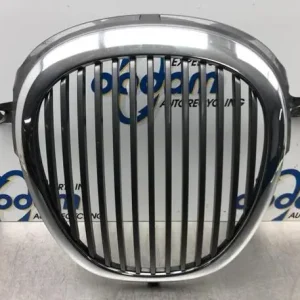 Radiateurgrille JAGUAR S-TYPE (X200) Gratis Verzending
