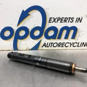 Verstuiver RENAULT KANGOO Express (FW0/1_) Koop Vandaag