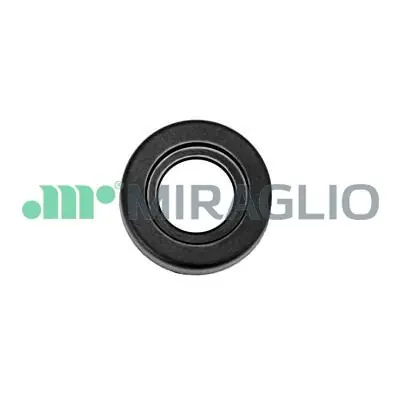 Raamslinger Miraglio 110\\/32 Express Levering