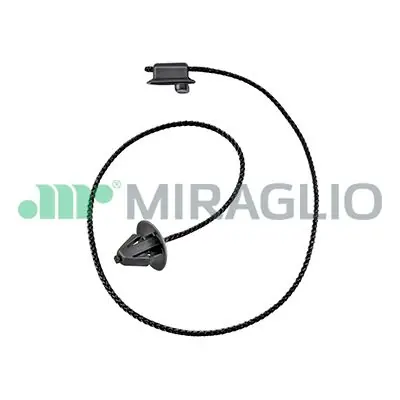 Dagaanbieding Bandenonderhoud Miraglio 35\\/117