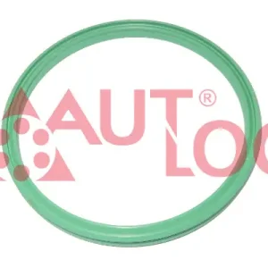 Koop Vandaag Laadlucht-\\/turboslang Autlog DI1028